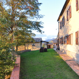 le querce di campocane particolare spazio amiata